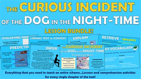 The Curious Incident Of The Dog In The Night Time Lesson Bundle