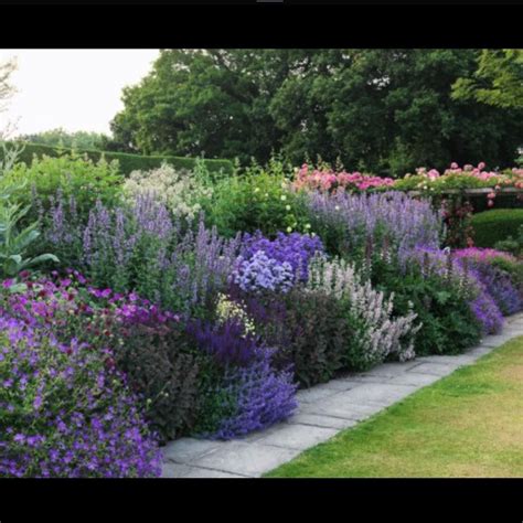 Otanica Trading On Instagra Purple Garden Herbaceous Border Garden