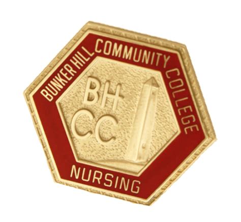 Nursing Graduation Pins By Terryberry