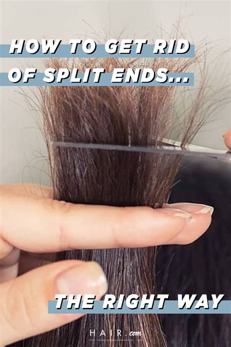 Cut Split Ends Split Ends Repair Trim Your Own Hair Hair Trim Split