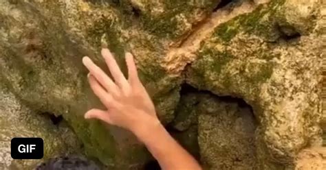 Man Goes In Narrow Underwater Cave 9gag