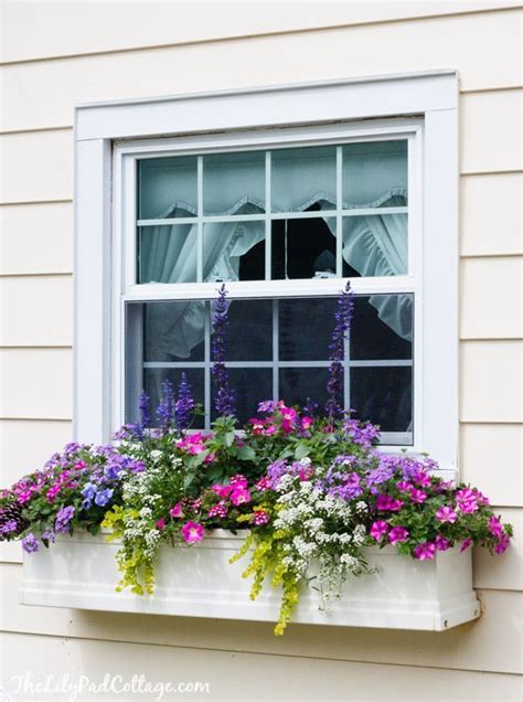 5 Tips For Gorgeous Window Boxes Window Box Flowers Gorgeous Window