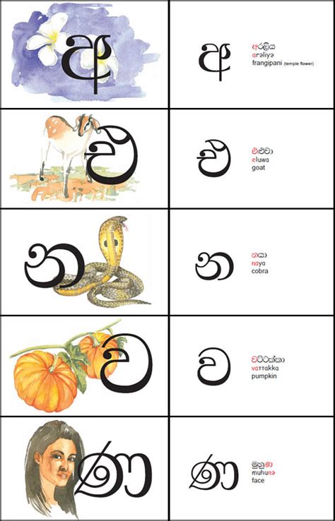 Alphabet Cards Sinhala