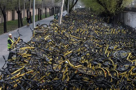 Chinese Bicycle Graveyard Bicycle Collection