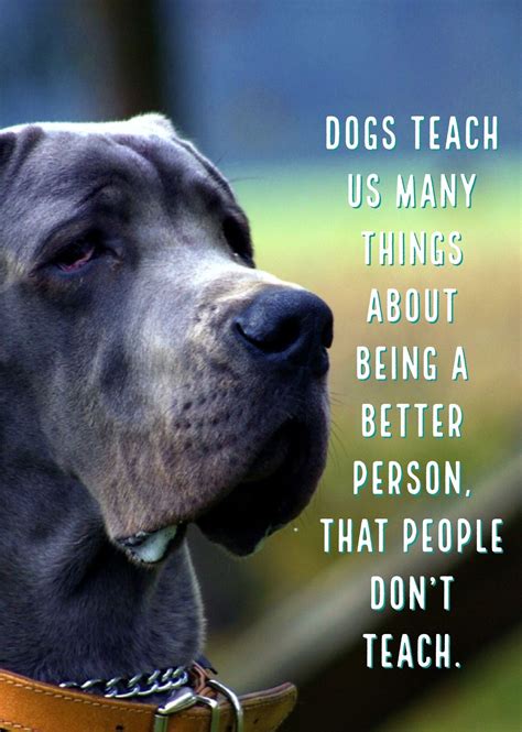 19 Best Quotes About Dogs And People Vitalcute