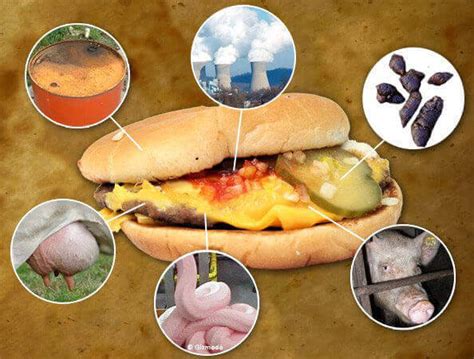 Gross 7 Things Actually Found In Food Peta