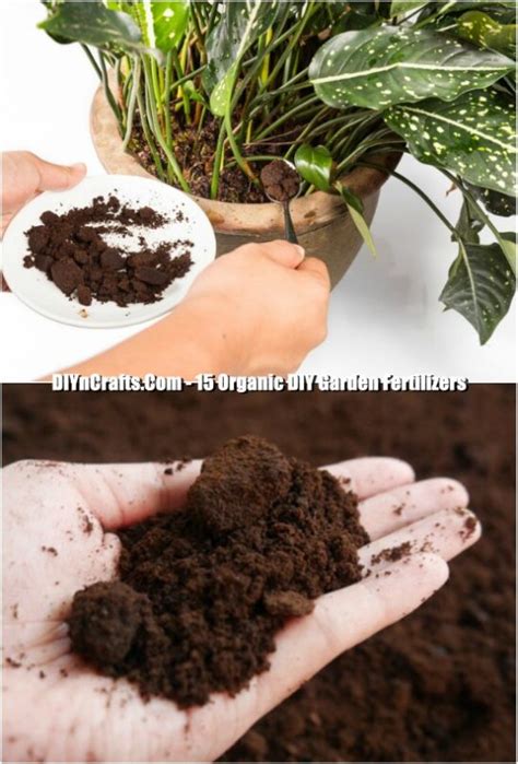 15 Organic Diy Garden Fertilizer Recipes Thatll Beautify Your Garden