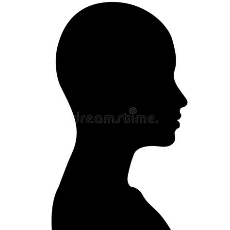 Female Head Muscles Anatomy Back View Stock Illustration
