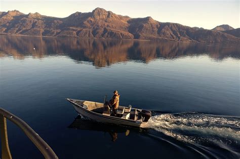 Kodiak Deer Boat Charter And Hunt Transportation Kodiak Deer Hunts