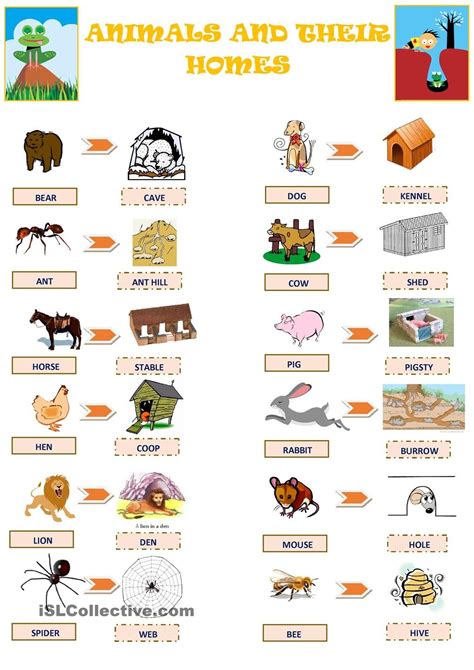 List Of Animals And Their Habitats