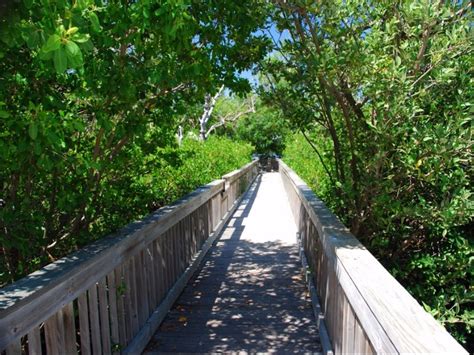 Top 10 Scenic Bike Trails In Florida 2021 Guide Trips To Discover