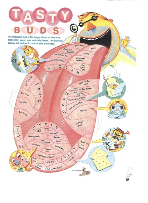 VirtualGardnerAnatPhys - TasteF2011 | Human muscle anatomy, Muscle