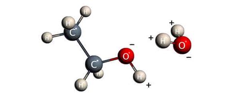 What Type Of Solvents Are Water And Ethanol Socratic