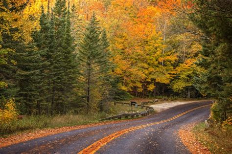 Experience 4 Breathtaking Fall Color Drives In Michigan