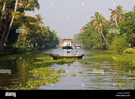 The Backwaters At Alappuzha Or Alleppey Kerala India Stock Photo Alamy