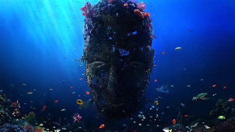 Wallpaper Face Sunlight Digital Art Coral Reef Scuba Diving