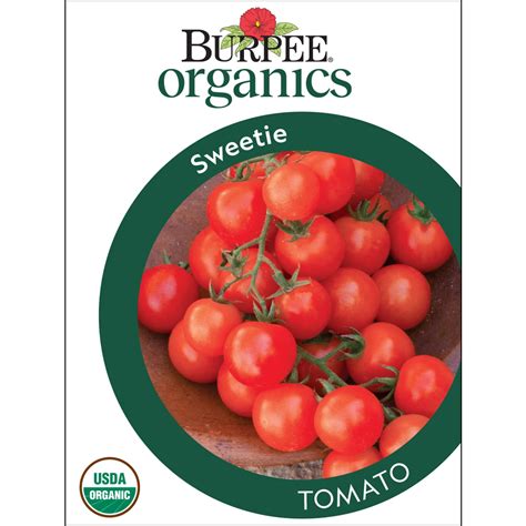 Burpee Organic Sweetie Tomato Vegetable Seed 1 Pack Full Sun Annual