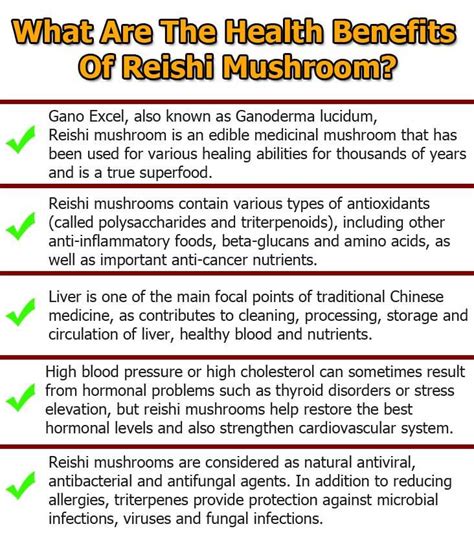 7 Proven Health Benefits Of Ganoderma Lucidum Reishi Mushroom