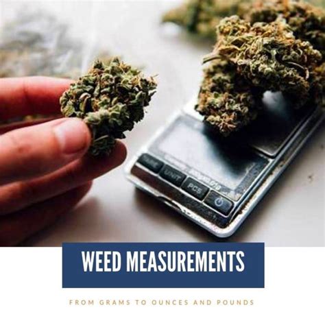 How many grams in an ounce healthier steps. From Grams To Ounces And Pounds Of Weed Measurements