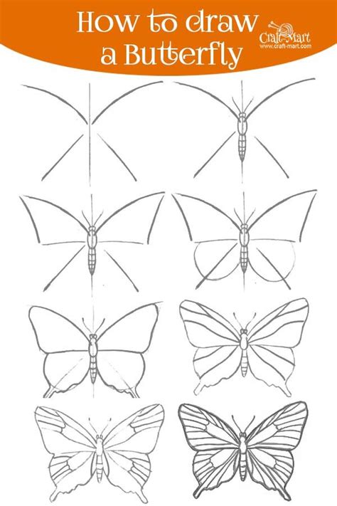How To Draw A Monarch Butterfly Step By Step Easy Patricia Sinclairs