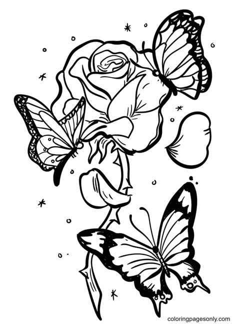 Rose With Three Beautiful Butterflies Coloring Page Free Printable