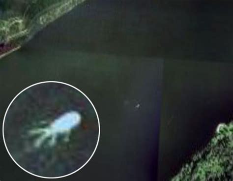 Cryptozoologists are excited about a weird shape seen on google earth. Google Earthでネッシー発見 Is the Loch Ness monster on Google ...