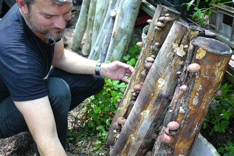 Is there a list of plants/trees grown in the gardens? Starting a Mushroom Garden - 5 ways to get growing