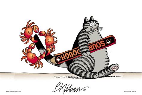 1063 Best Cartoons By B Kliban Images On Pinterest Kliban Cat