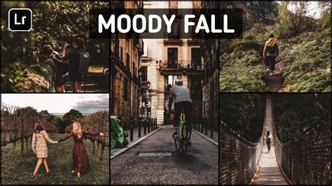 All of our free photoshop actions include presets that are similar to their counterparts. Moody Fall Lightroom Mobile Free Presets DNG | Lightroom ...