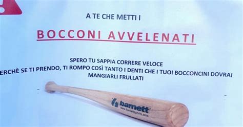 2013 yılında, işini ciddiye alan küçük ve tutkulu bir ekiple kuruldu. Bocconi avvelenati a Lugano, il Municipio 'dia risposte ...