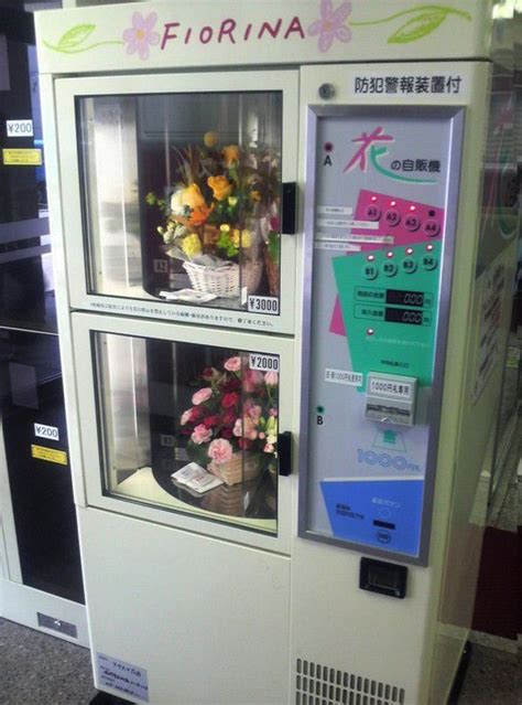 10 Of Japans Most Unusual Vending Machines Gowithguide