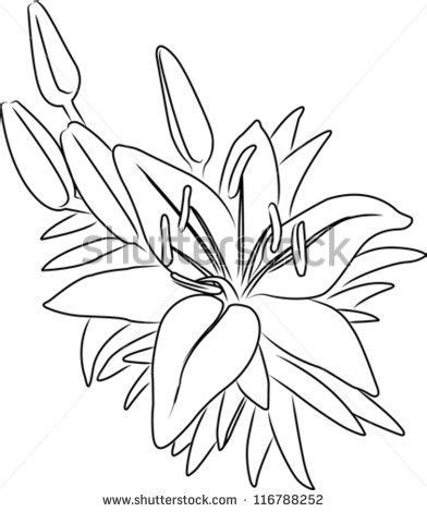 Outline Flower Stock Vectors Vector Clip Art Shutterstock Flower Line Drawings Drawings