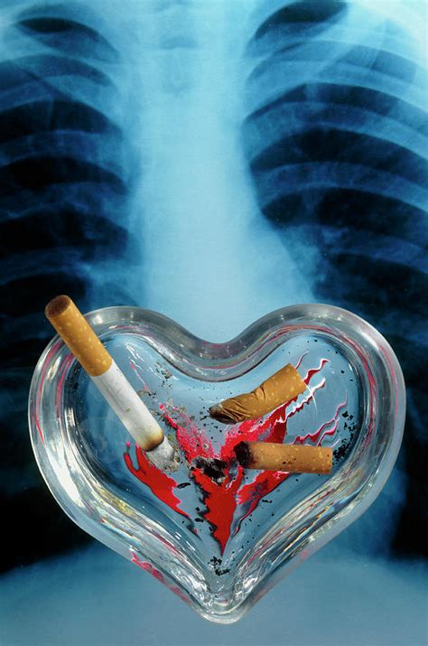 Heart Shaped Ash Tray Photograph By Sheila Terryscience Photo Library
