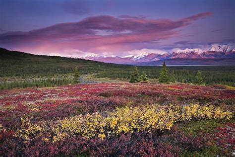 Scenic View Of Alpine Tundra With Photograph By John Delapp Fine Art