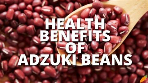 19 amazing health benefits of adzuki beans