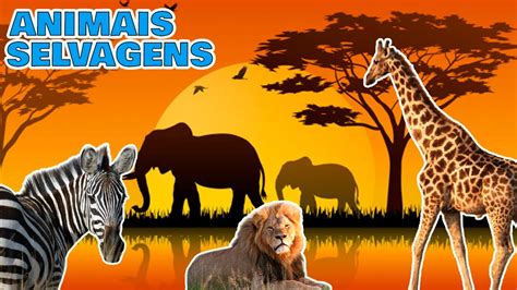 Aprenda Curiosidades Sobre Os Animais Selvagens Animais Da África