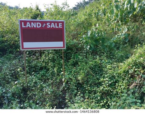 Land Sale Signboard Located Wild Bushy Stock Photo