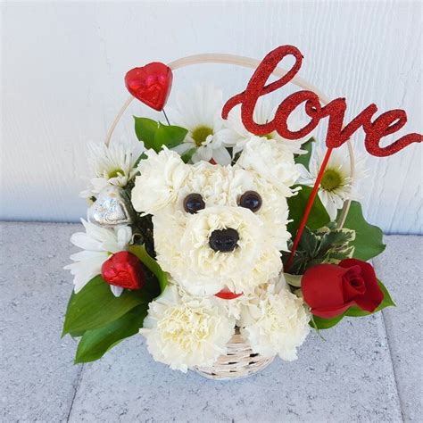 Carnation Flowers Puppy Dog Cute Valentines Flower Arrangement In A