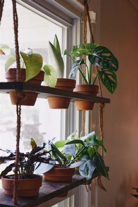 Diy Hanging Plant Shelf Living The Gray Life