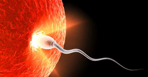 Sperm Gene Discovery May Lead To Male Birth Control Scientists Say