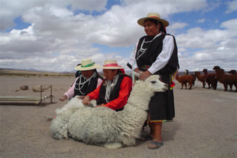 Pueblos Originarios De Chile Atacameños