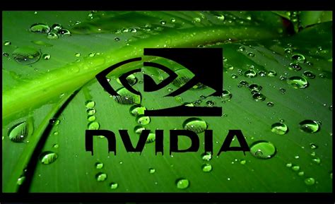 Nvidia Logo And Brand 1920x1080 Full Hd Wallpapers