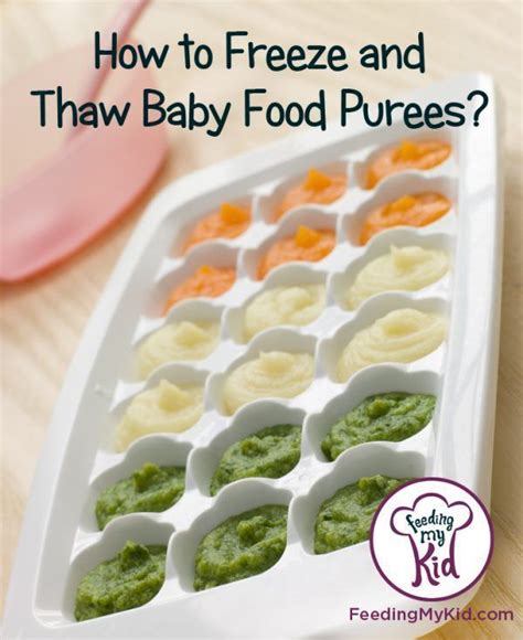 How To Thaw And Freeze Baby Food Puree Find Out How To Make And Store