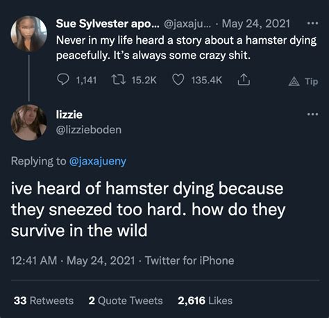 Hamster Death Meme Hamster Death Stories Know Your Meme
