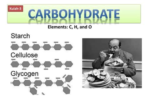 Ppt Carbohydrate Powerpoint Presentation Free Download Id2120096