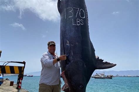 Fishermen Reel In Massive 97st 12ft Sea Monster Daily Star