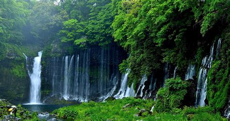 Hd Wallpaper Greens Trees Nature Japan Waterfall Fujinomiya Lake