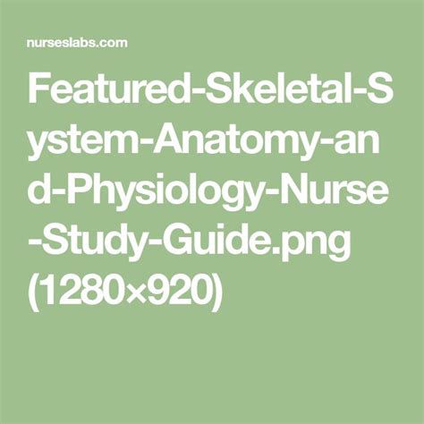 Nursing Study Guide Anatomy And Physiology Skeletal System Anatomy