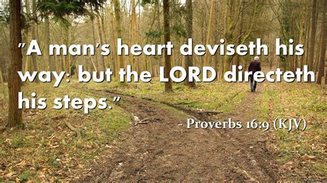 Verse Of The Day Proverbs 169 Kjv The Proverb Channel