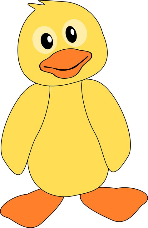 Duck Duckling Yellow Free Vector Graphic On Pixabay
